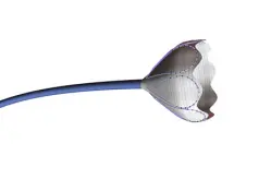 Expandable Catheter Product Development
